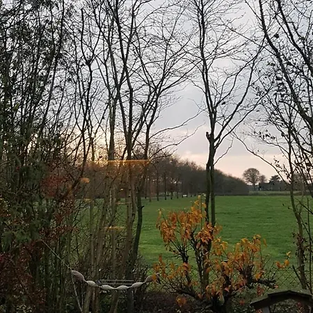 Cosy Home - Aan De Rand Van De Bossen Met Zonsondergang Uitzicht